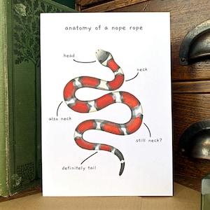 Anatomie drôle de serpent d'une carte de voeux de corde de non, cartes drôles d'anatomie animale vierges à l'intérieur, carte de blague de serpent de lait rouge pour des propriétaires de serpent