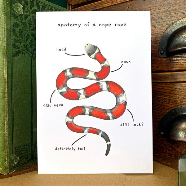 Funny Snake Anatomy of a Nope Rope Greetings Card, Funny Animal Anatomy Cards Blank Inside, Red Milk Snake Joke Card for Snake Owners