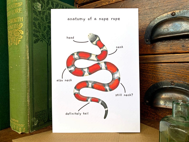 Funny Snake Anatomy of a Nope Rope Greetings Card, Funny Animal Anatomy Cards Blank Inside, Red Milk Snake Joke Card for Snake Owners image 1