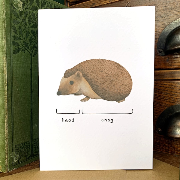 Carte de vœux Dry Humor Head Chog Hedgehog, carte d’animal drôle à l’intérieur vierge pour les amoureux des animaux, carte d’anniversaire d’animal spirituel de la faune britannique