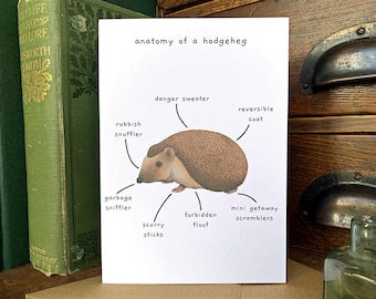 Anatomy of a Hodgeheg Hedgehog Lovers Greetings Card, Blank Inside Funny Animal Birthday Card, Natural Science British Wildlife Dry Humour