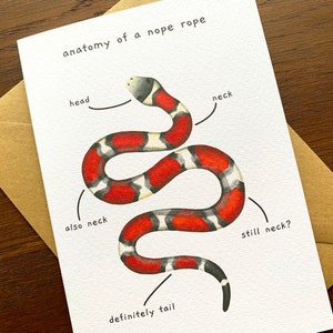 Funny Snake Anatomy of a Nope Rope Greetings Card, Funny Animal Anatomy Cards Blank Inside, Red Milk Snake Joke Card for Snake Owners image 3