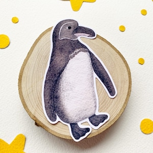 Galapagos Penguin Gloss Sticker, Rare Animal Planner Sticker, Galápagos Islands Animal Sticker, Endangered Animals Nature Documentary Vinyl