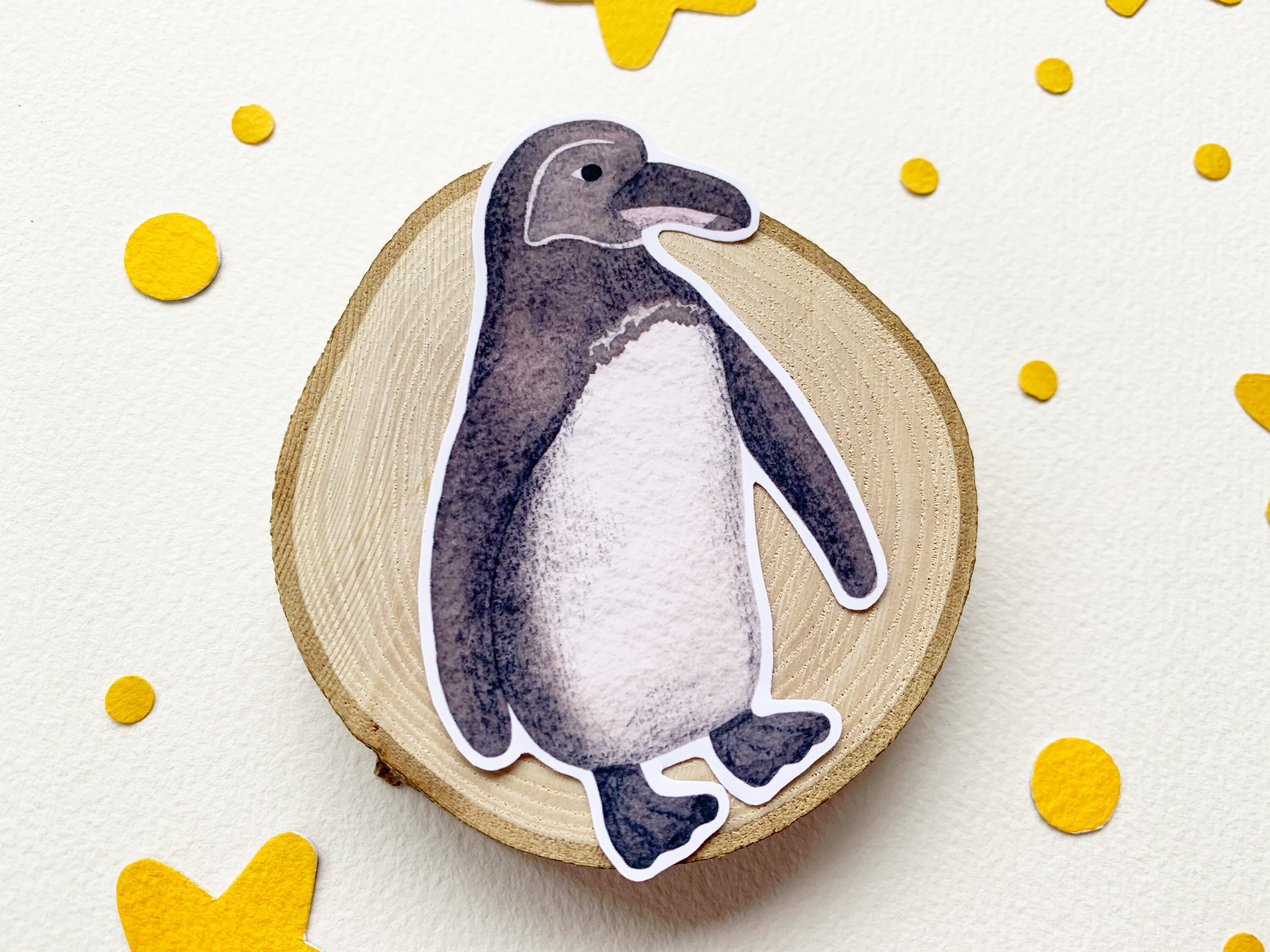 Galapagos Penguin Gloss Sticker Rare Animal Planner Sticker - Etsy