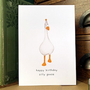 May include: A white goose wearing a colorful party hat with the text "happy birthday silly goose" on a white card.