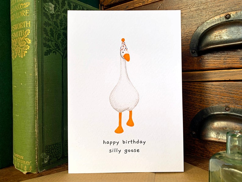 May include: A white goose wearing a colorful party hat with the text "happy birthday silly goose" on a white card.