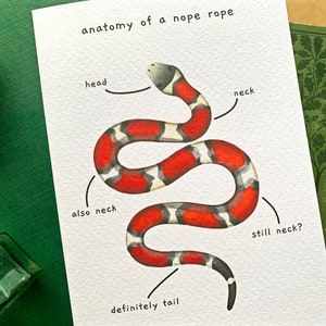 Funny Snake Anatomy of a Nope Rope Greetings Card, Funny Animal Anatomy Cards Blank Inside, Red Milk Snake Joke Card for Snake Owners image 10