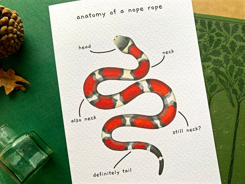 Funny Snake Anatomy of a Nope Rope Greetings Card, Funny Animal Anatomy Cards Blank Inside, Red Milk Snake Joke Card for Snake Owners image 10