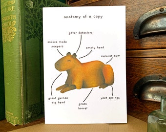 Funny Capybara Greetings Card, Funny Animal Anatomy Cards Blank Inside, Cute Sleeping Capybara Lovers Birthday Card, Rodent Meme Card