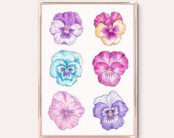 Pansy Art Print | floral botanical nature watercolour illustration print