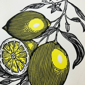 Lemons - Limited Linoleum Edition Linocut Block Handprinted on Hahnemühle Paper