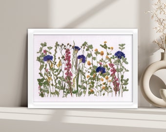 Pressed flower frame made of real plants and flowers, Blue cornflowers with pink heathers and little yellow flowers and meadow foliage