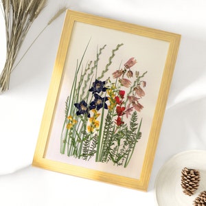 Pressed Flower, Pressed Flowers for Crafts, Pressed Flowers for