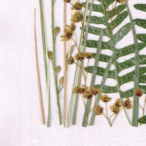 May include: A collection of dried pressed plants, including ferns, grasses, and small brown flowers, arranged on a white linen background.