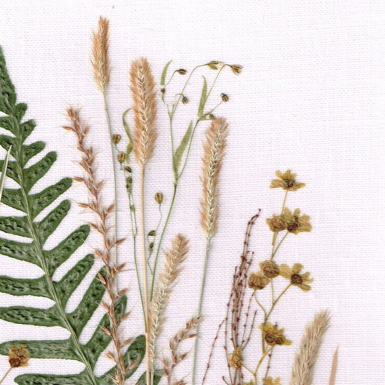 May include: A collection of dried pressed flowers and grasses arranged on a white canvas background. The arrangement includes a fern, brown grasses, and small white flowers.