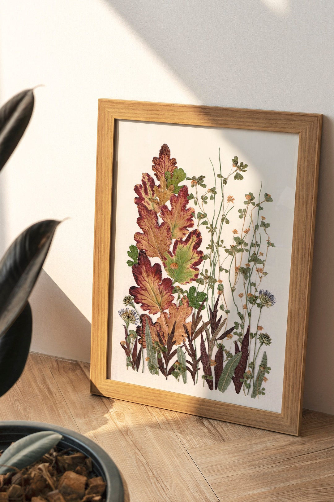 Pressed Flowers Wall Art Made of Real Dried Plants Floral Etsy