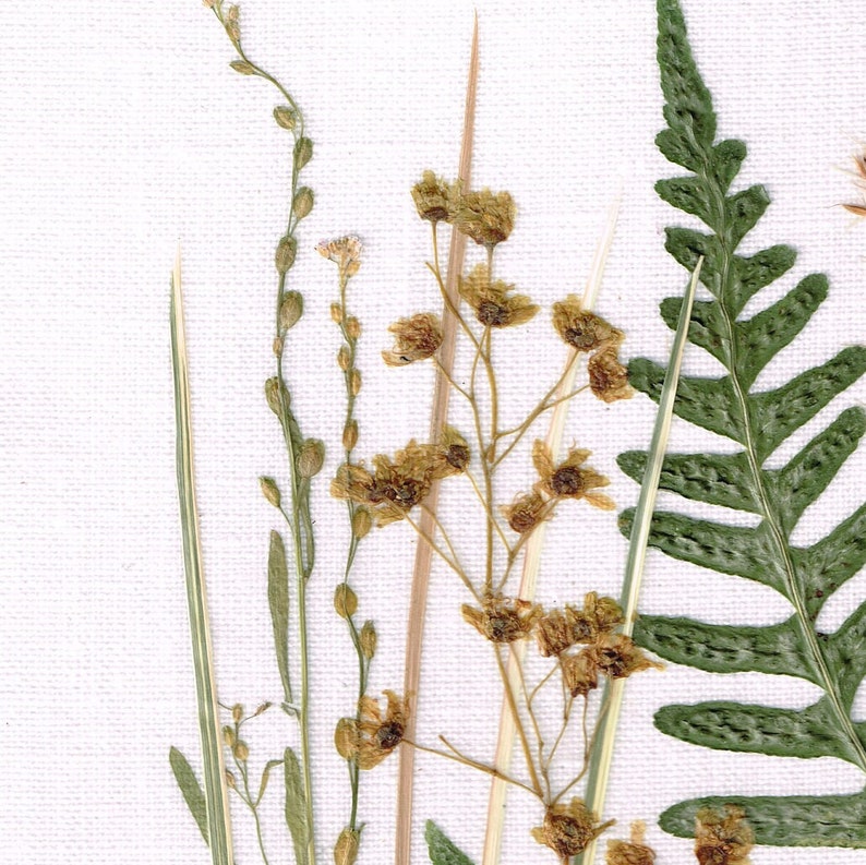 May include: A pressed flower arrangement featuring a variety of dried plants, including ferns, grasses, and delicate flowers with brown petals. The arrangement is displayed on a white linen background.