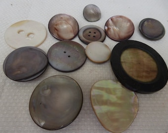 12 large mother-of-pearl buttons