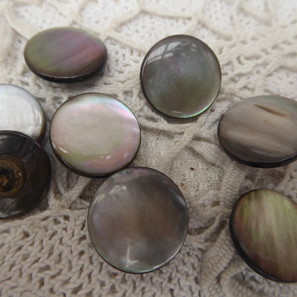 8 x Nut-of-pearl buttons
