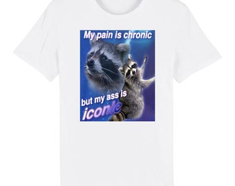 My Pain Is Chronic But My Ass Is Iconic Funny Raccoon Meme T-Shirt
