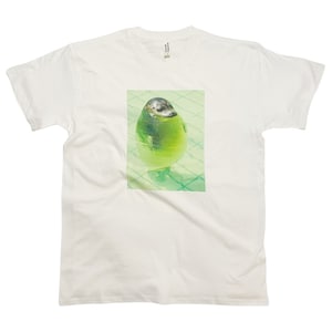 面白いアザラシのミームTシャツ ぽっちゃりアザラシ