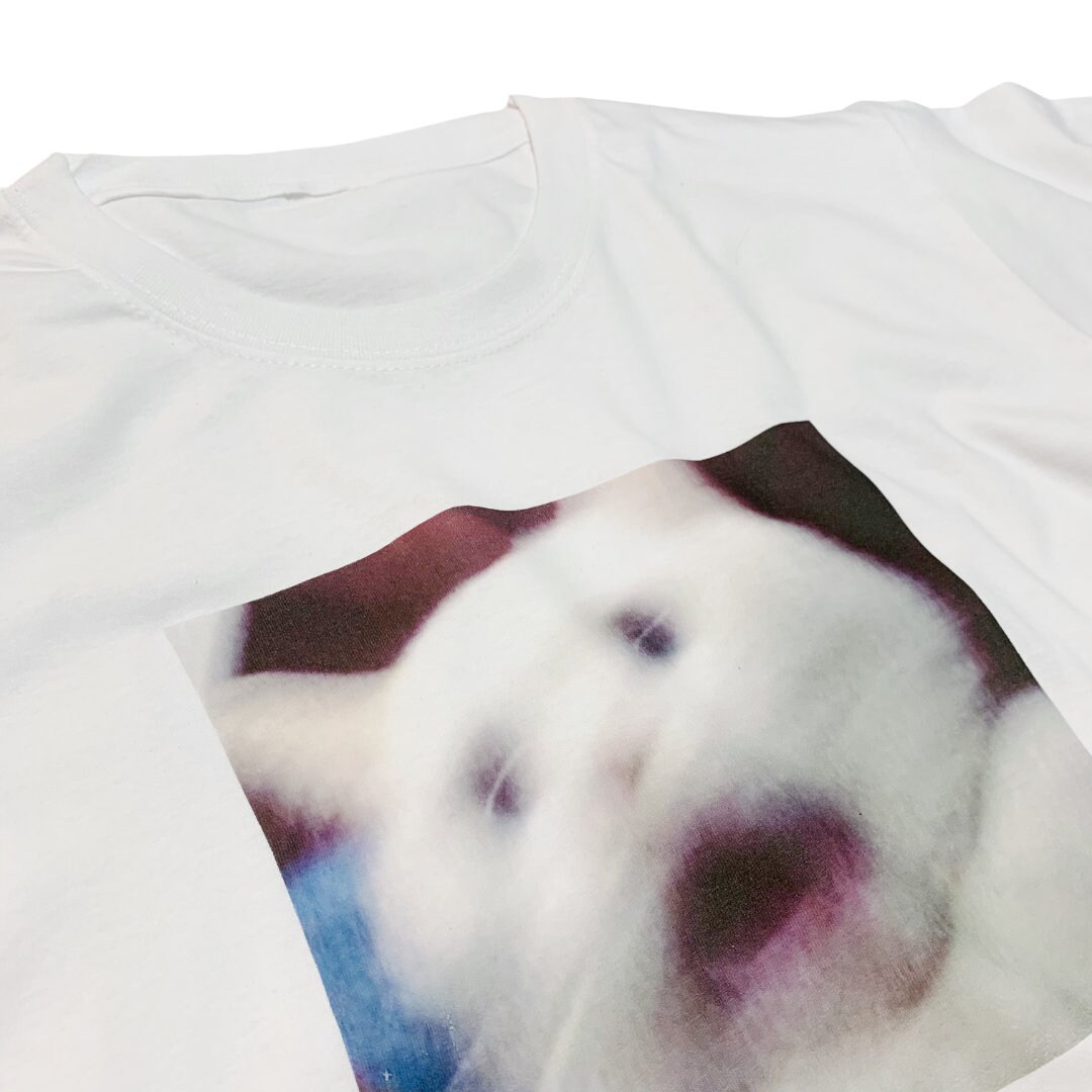 🤍🤎 SOPHIE 🤎🤍, image size:1080x1080