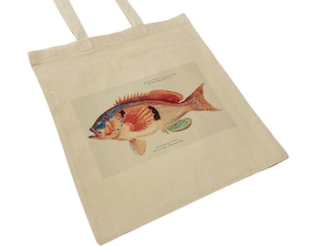 Vintage Fish Art Canvas Tote Bag: Frank Edward Clarke Illustration
