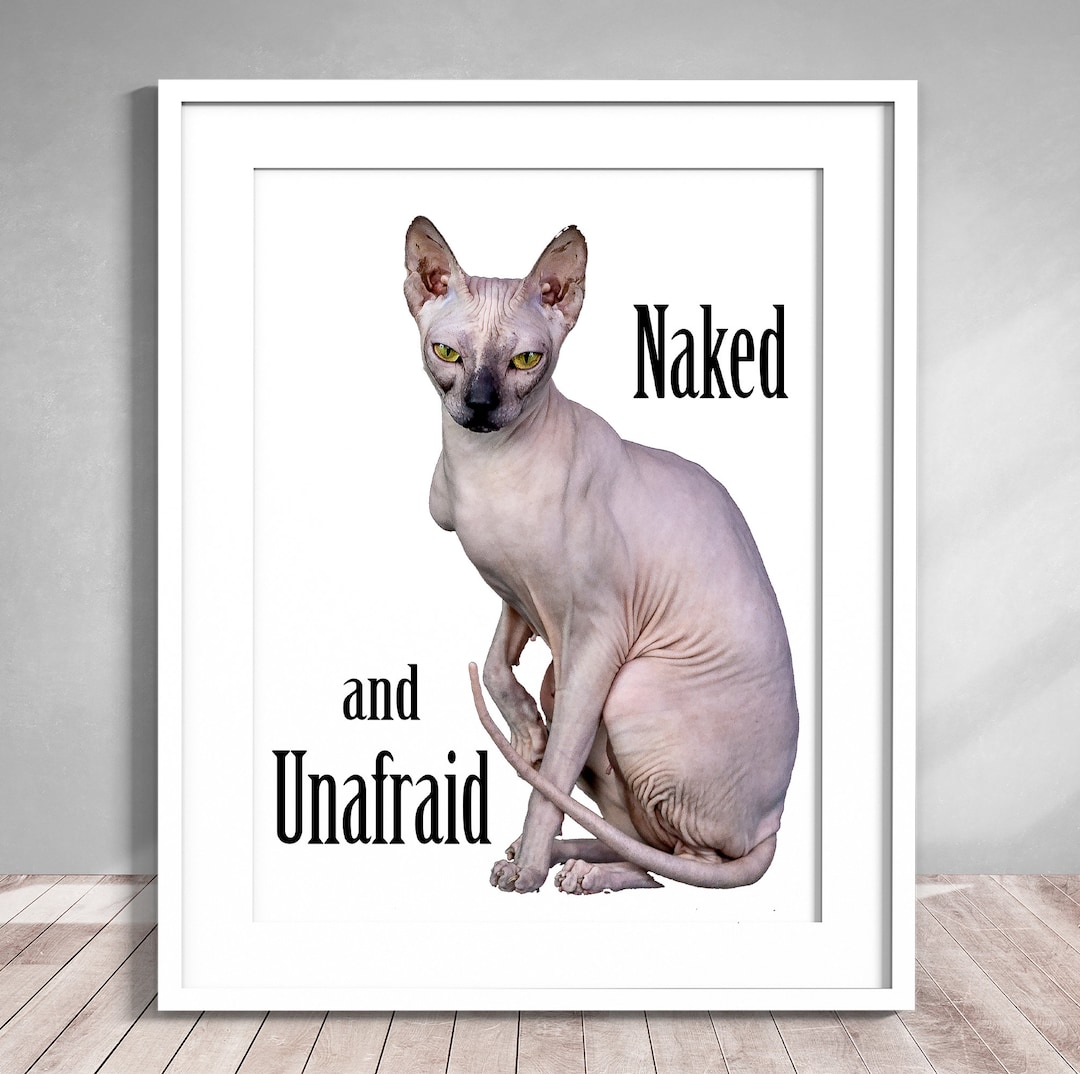 Hairless Cat Gifts Hairless Cat Art Naked and Unafraid Etsy