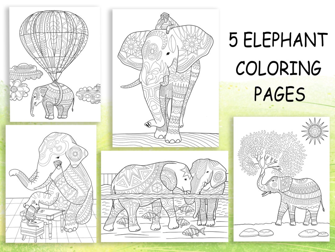 Elephant Coloring Pages, Printable Coloring Pages, Original Digital ...