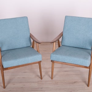Vintage Armchairs from Ton Czech, 1960s, Set of 2