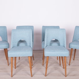 Könnte beinhalten: Satz mit sechs hellblauen Esszimmerstühlen mit Holzbeinen. Die Stühle haben eine geschwungene Rückenlehne und eine leicht abgerundete Sitzfläche.