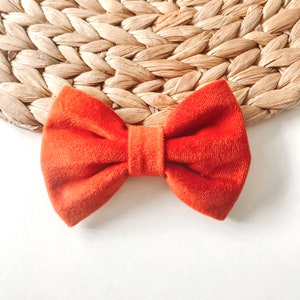 May include: A bright orange velvet bow tie.