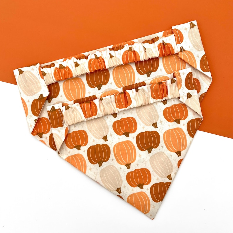 Pick of the Patch | Autumn Dog Bandana | Fall Halloween Scrunchie Bandana | Elastic Dog Scarf | Cat Bandana | Pet Neckwear | Puppy Accessory bild 3