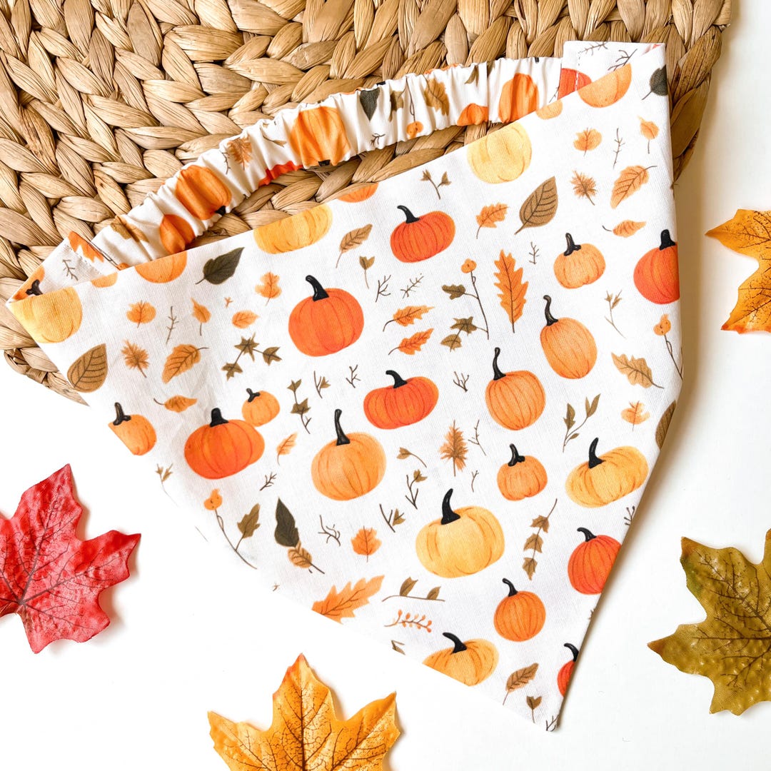 Pumpkin Pickin' Autumn Dog Bandana Fall Halloween Scrunchie Bandana