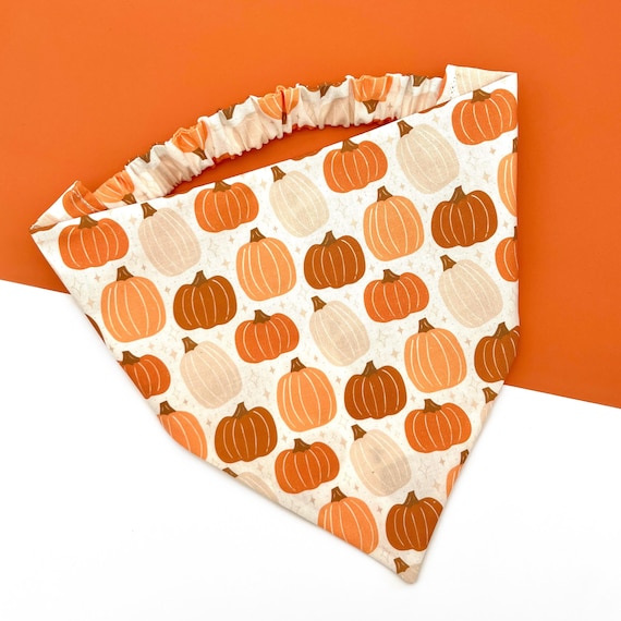 Pick of the Patch | Autumn Dog Bandana | Fall Halloween Scrunchie Bandana | Elastic Dog Scarf | Cat Bandana | Pet Neckwear | Puppy Accessory