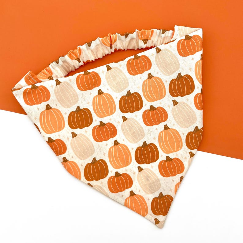 Pick of the Patch | Autumn Dog Bandana | Fall Halloween Scrunchie Bandana | Elastic Dog Scarf | Cat Bandana | Pet Neckwear | Puppy Accessory bild 1