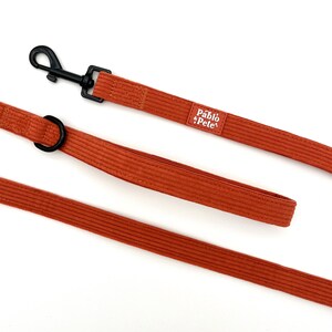 Maple Haze Lead | Autumn Corduroy Dog Lead | Halloween Fall Burnt Orange Cord Pet Leash | Cute Accessories | Puppy Accessory | Pet Supplies