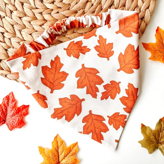 Falling For You | Autumn Leaves Dog Bandana | Fall Halloween Scrunchie Bandana | Dog Scarf | Cat Bandana | Pet Neckwear | Puppy Accessory