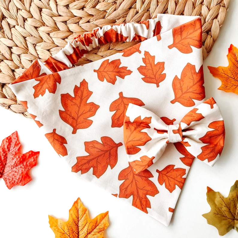 May include: A white bandana with a brown leaf pattern and a matching bow tie. The bandana is made of a soft, lightweight fabric and is perfect for adding a touch of fall style to any outfit.