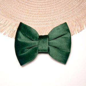 May include: A dark green velvet bow tie.