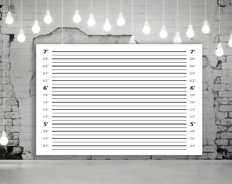 Mugshot Backdrop Sign, Police Lineup, Photo Booth Background, Mugshot