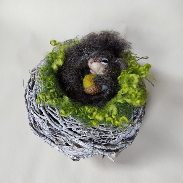 Squirrel in the nest, sleeping squirrel, felt art, felted animals, felted squirrel, gift for animal lovers, collectors