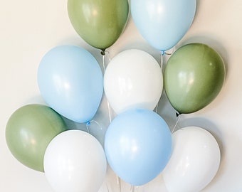 One Silly Goose First Birthday Decorations/A New Silly Goose Baby Shower Decorations/Bunnies & Geese Baby Shower/11 Inch Balloons/It's a Boy