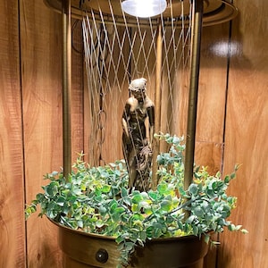 Etsy rain lamp deals