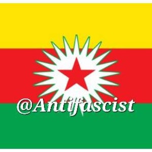 May include: A flag with three horizontal stripes: yellow, red, and green. A white star with a red center is surrounded by a white sunburst in the center of the flag. The text "@Antifascist" is at the bottom of the flag.