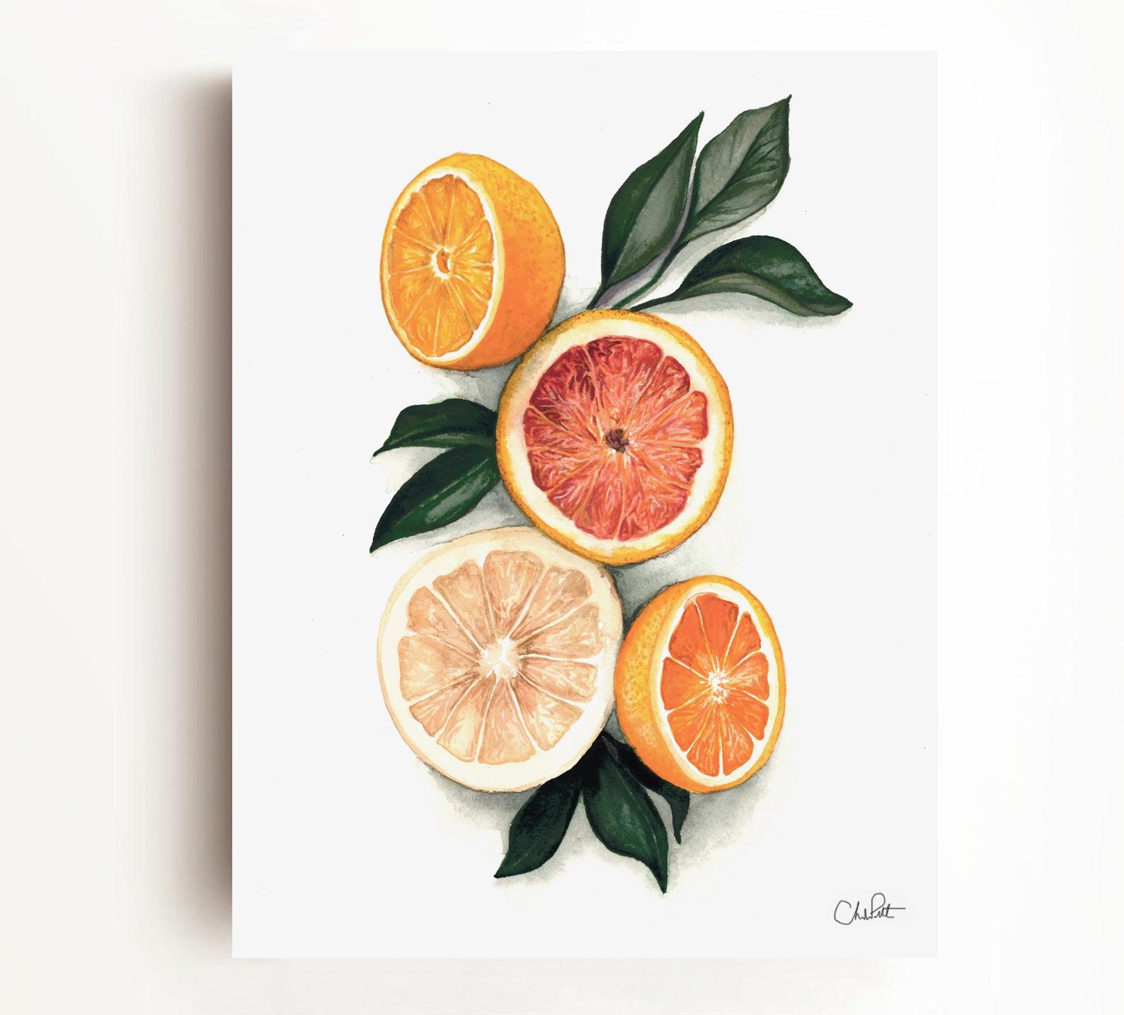 Fruit Blood Orange Citrus Watercolor Drawing Painting Kitchen | Etsy