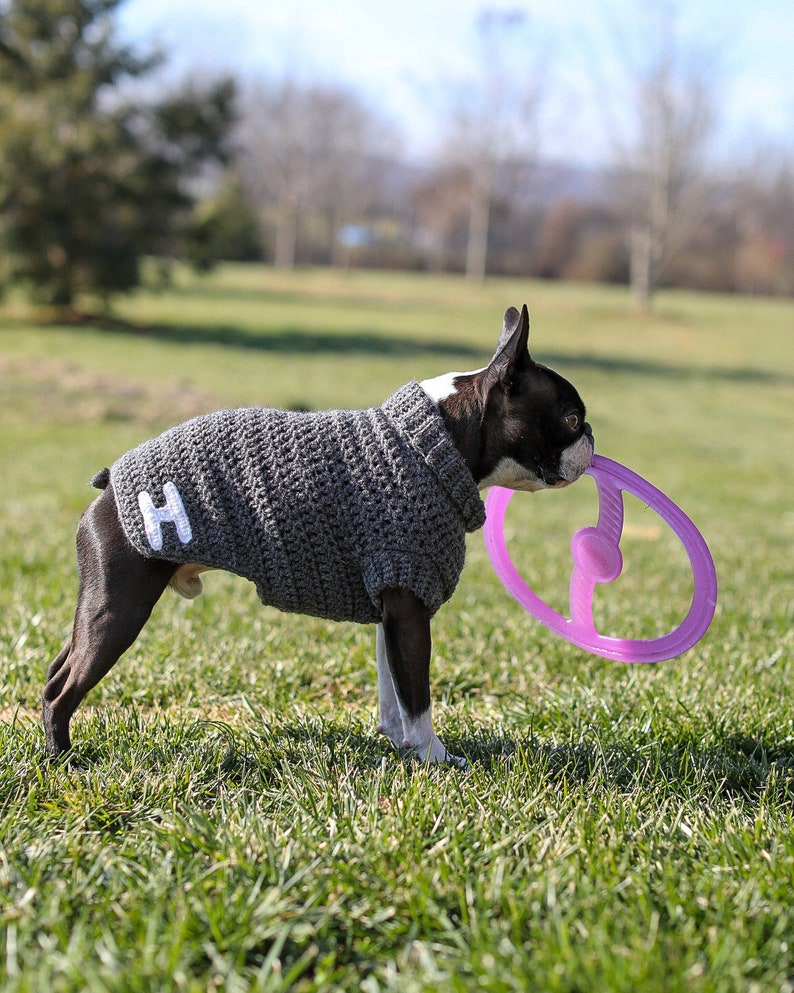 Personalized Crochet Knit Dog Sweater Add Custom Name Etsy