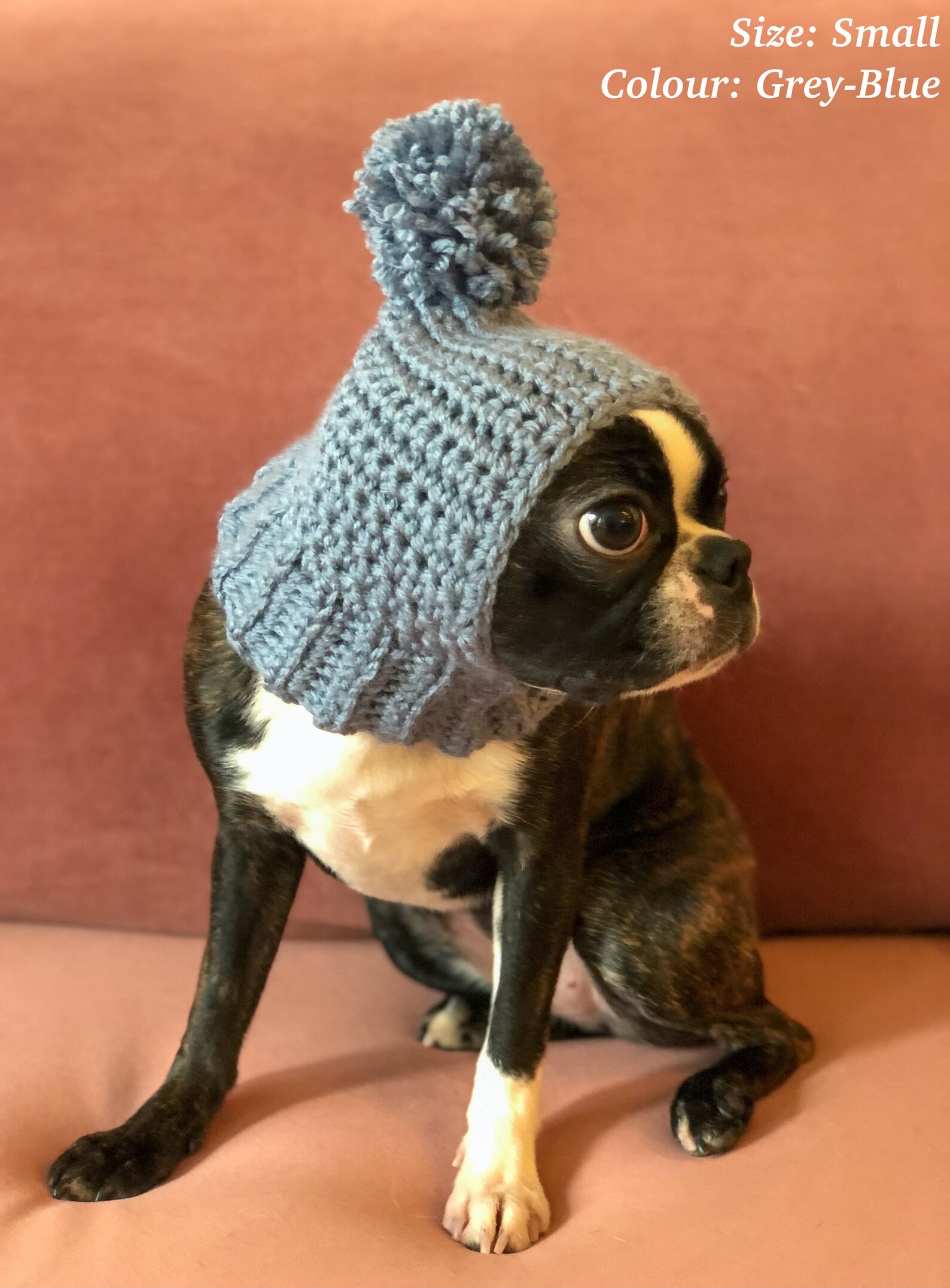 Dog Balaclava Hat Pet Bobble Hat Pompom Hat Winter Hat Etsy