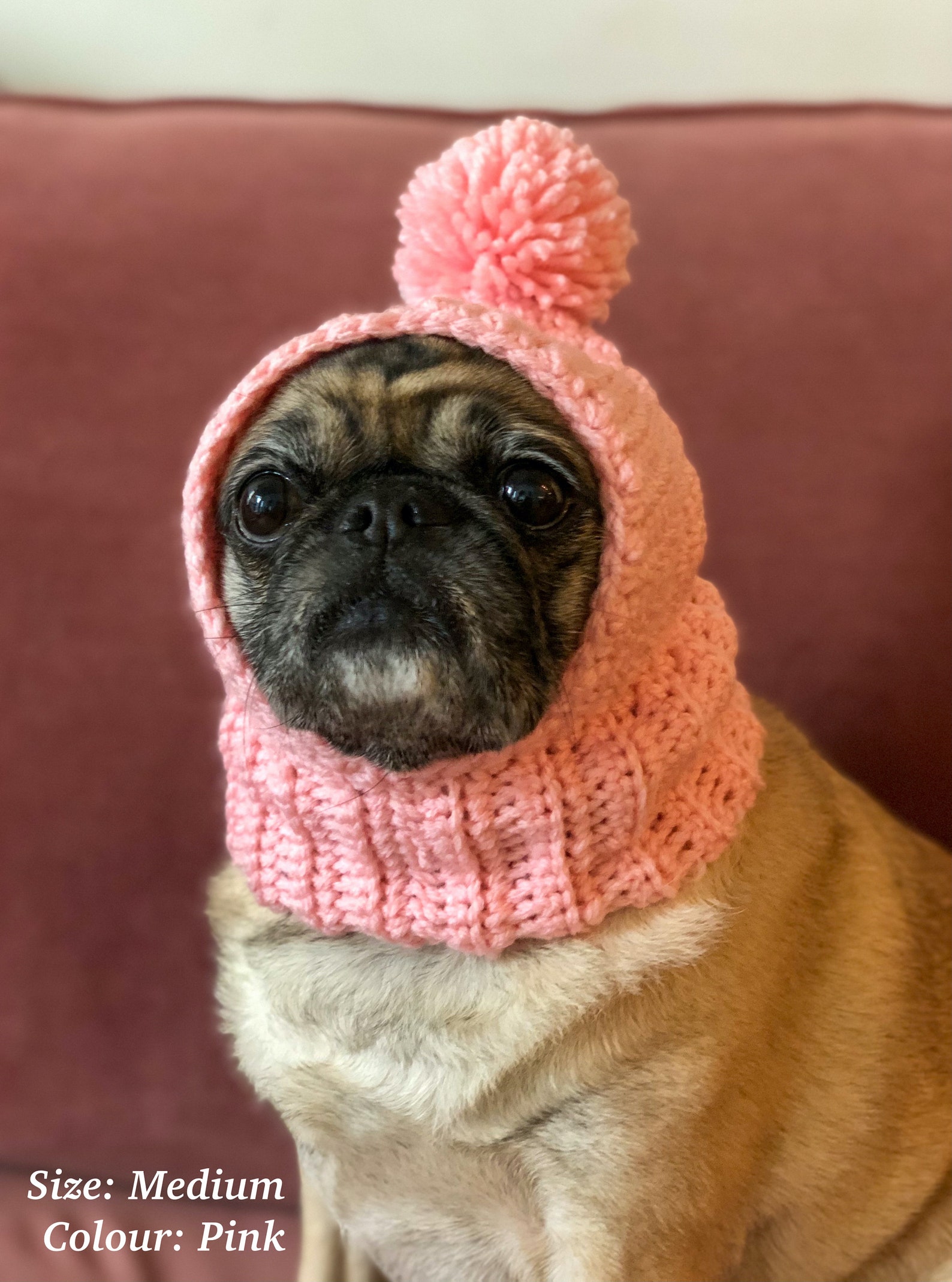 Dog Balaclava Hat Pet Bobble Hat Pompom Hat Winter Hat Etsy