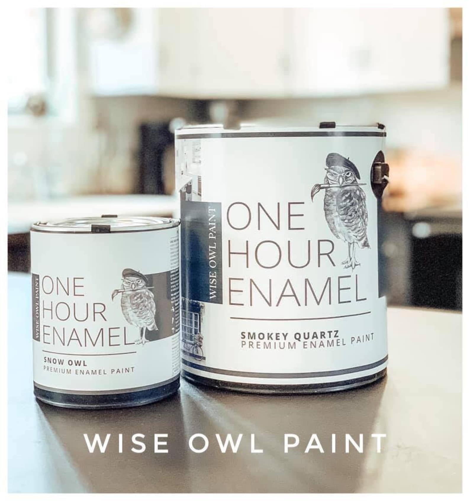 Wise Owl One Hour Enamel Paint Quart Etsy